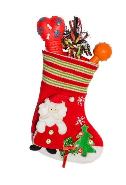 Christmas santa boots full of gifts for puppy dog — Stock Photo, Image