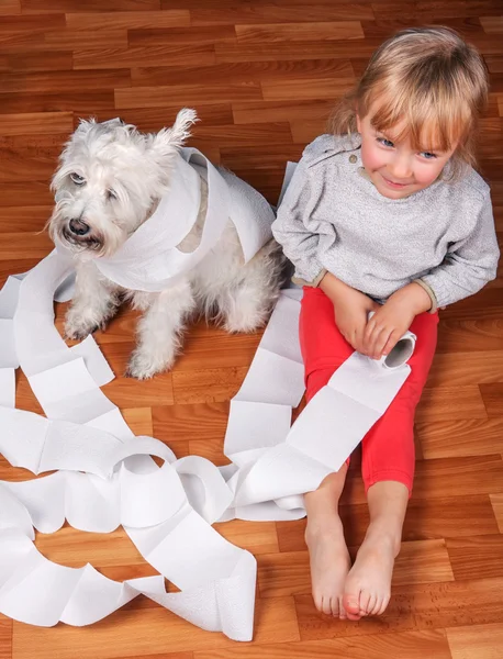 Criança safada e cachorro schnauzer branco sentado em um chão, brincando com rolo de papel higiênico — Fotografia de Stock