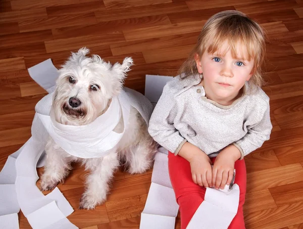 Непослушный ребенок и белый щенок шнауцера сидят на полу, играя с рулоном туалетной бумаги — стоковое фото