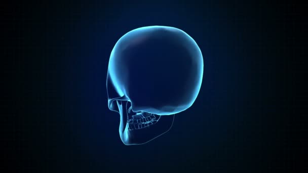 Hitech numérique 3D Animation of Human Skull interface bleue Loopable. Alpha mat — Video