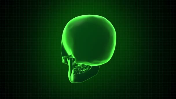 Hitech digital 3D Animation of Human skull green interface Loopable. Alpha matte — Stock Video