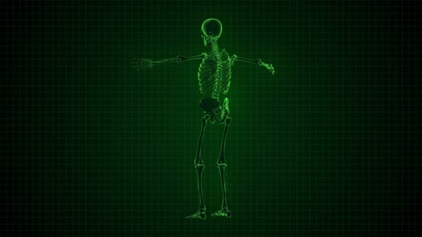 3D-animatie van menselijk skelet x-ray groen interface Loopable. Alpha mat — Stockvideo