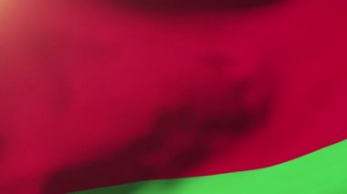 Beyaz Rusya bayrağı rüzgarda sallayarak. Güneş döngü stil yükselir. Animasyon döngüsü