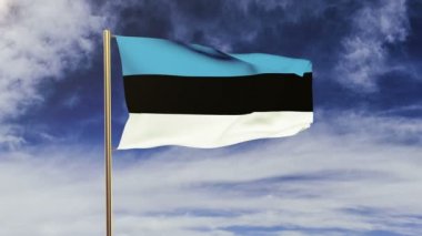 Rüzgarda sallanan Estonya bayrağı. Döngülü güneş tarzı yükselir. Animasyon döngüsü. Yeşil ekran, alfa mat. Döngüye uygun animasyon