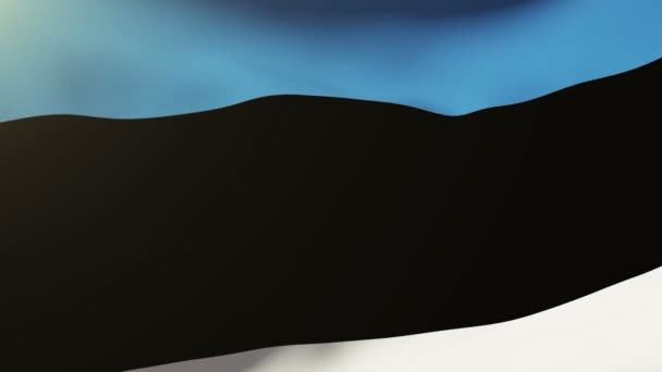 Bandera de Estonia ondeando en el viento. Looping sol sale de estilo. Bucle de animación — Vídeo de stock
