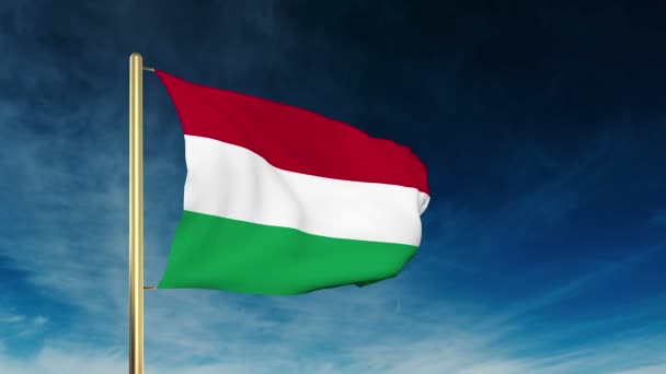 Maďarský styl jezdce vlajky. Mávání větrem s animací pozadí mraků — Stock video