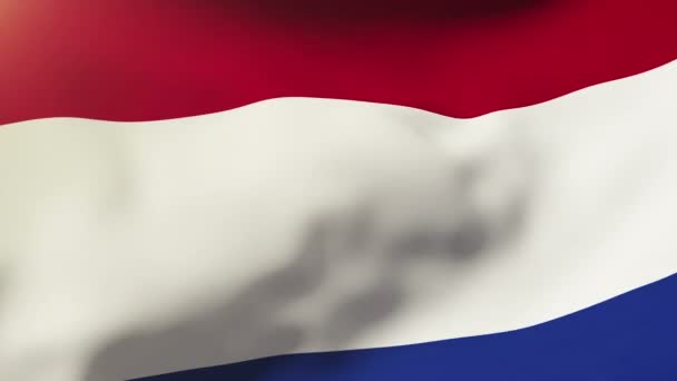 Netherlands flag waving in the wind. Looping sun rises style.  Animation loop — Stock Video