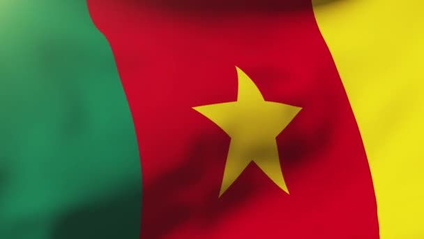 Cameroon flag waving in the wind. Looping sun rises style.  Animation loop — Stock Video