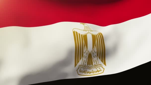 La bandiera egiziana sventola nel vento. Looping sole sorge stile. Ciclo di animazione — Video Stock