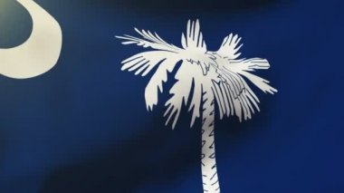 Güney carolina bayrak rüzgarda sallayarak. Güneş döngü stil yükselir. Animasyon döngüsü