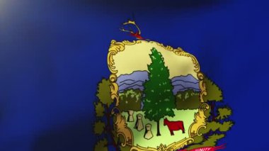 vermont bayrak rüzgarda sallayarak. Güneş döngü stil yükselir. Animasyon döngüsü