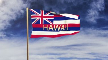 başlığı rüzgarda sallayarak hawaii bayrağı. Döngülü güneş tarzı yükselir. Animasyon döngüsü