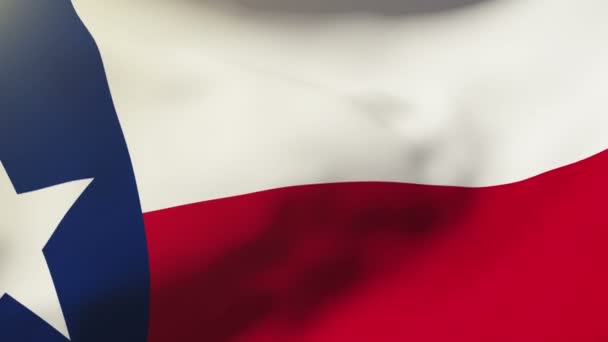 Texas flagge weht im wind. Looping Sun Aufgang Stil. Animationsschleife — Stockvideo