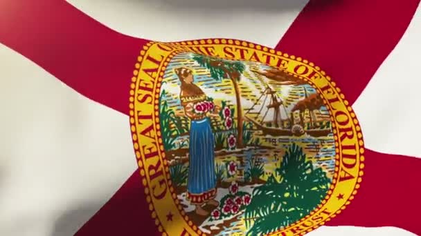 Florida-Flagge weht im Wind. Looping Sun Aufgang Stil. Animationsschleife — Stockvideo