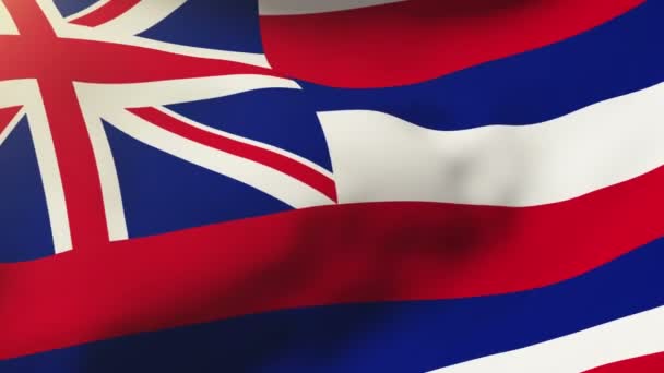 Гавайский флаг, размахивающий на ветру. Колеблющееся солнце встает стильно. Цикл анимации — стоковое видео