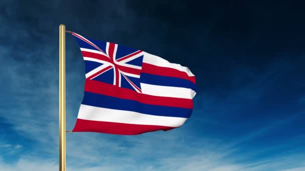 Estilo deslizante hawaii bandera. Saludando en la victoria con la animación de fondo en la nube — Vídeos de Stock