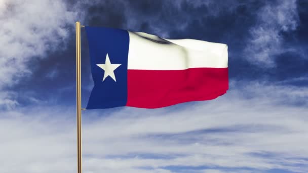 Bandeira do Texas acenando ao vento. Ecrã verde, alfa fosco. Animação solta — Vídeo de Stock