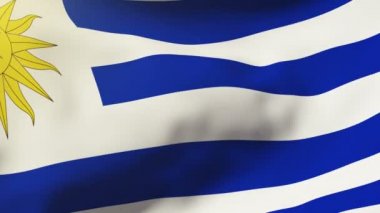 Uruguay bayrağı rüzgarda sallayarak. Güneş döngü stil yükselir. Animasyon döngüsü
