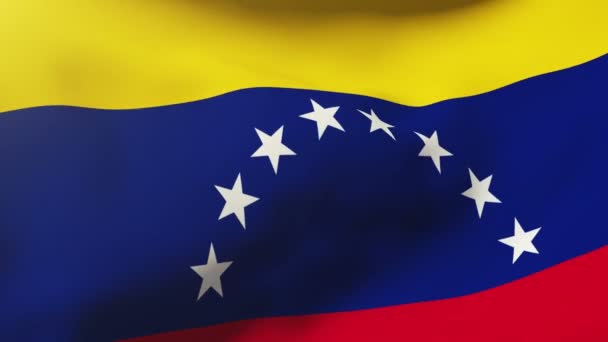 Venezuela-Flagge weht im Wind. Looping Sun Aufgang Stil. Animationsschleife — Stockvideo