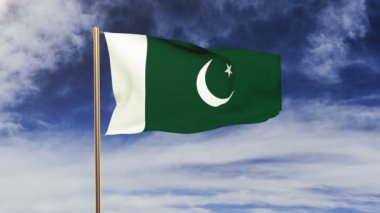 Pakistan bayrağı rüzgarda sallanıyor. Yeşil ekran, alfa mat. Döngüye uygun animasyon