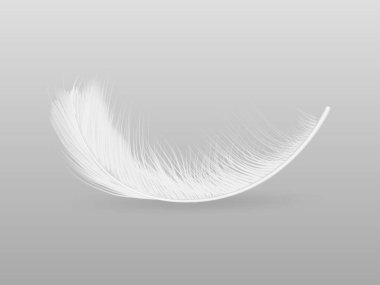 Düşen 3d gerçekçi pofuduk tüy çizimi yumuşak doku hareketi ve zarafet özgürlüğü saflığı ve dekoratif tasarım kavramları için hafif detay ile izole