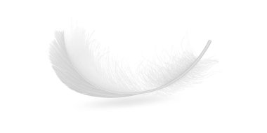 Yumuşak tüylü kuş tüyleri zarif bir şekilde uçar ve düşer doğa teması, fantezi sanatı ve narin dekoratif arka planlar için ideal hafif hava illüstrasyonu yaratır.