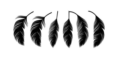 Yumuşak kuş tüyleri içeren yumuşak kuğu tüyleri hassas dokular, doğal şekiller, zarif eğriler, gerçekçi detaylar, lüks tasarım için dekoratif unsurlar, markalaştırma, paketleme, duvar kağıdı, baskı projeleri ve yaratıcı görsel kompozisyonlar.