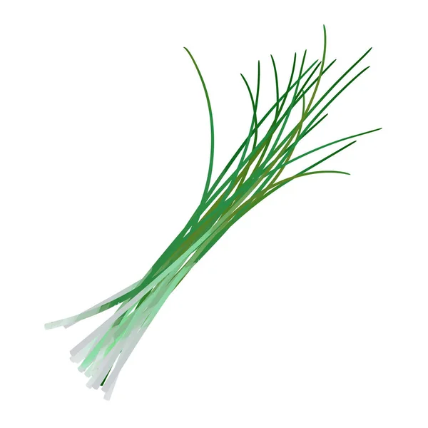 Watercolor Chives Isolated White Background Digital Art Painting — Stock Photo, Image