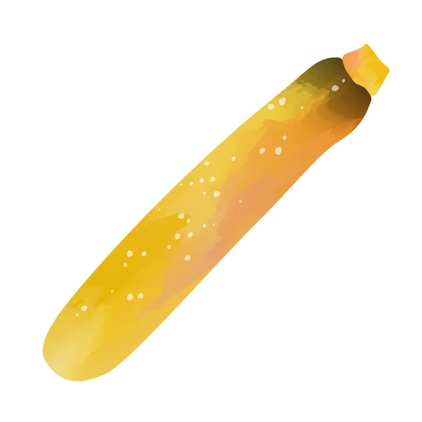 노란색 Zucchini 색깔은 배경에 분리되어 디지털 페인팅 — 스톡 사진