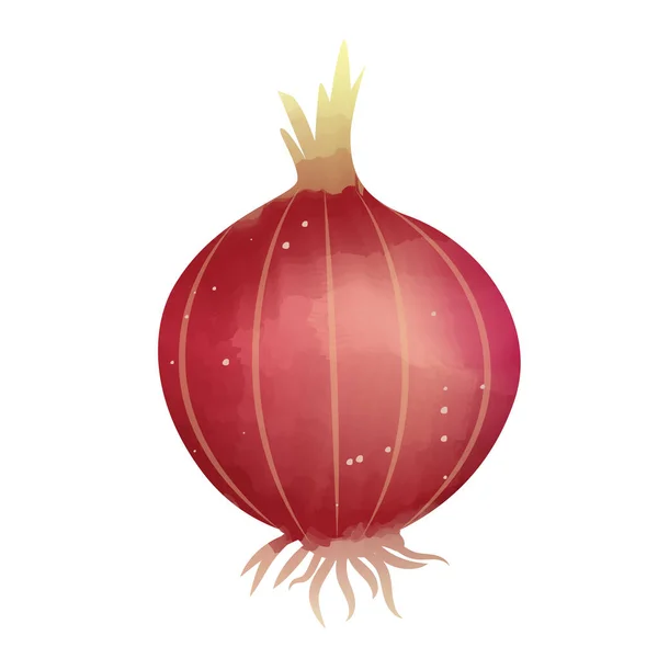 Watercolor Unpeeled Red Onion Isolated White Background Digital Art Painting — ストック写真