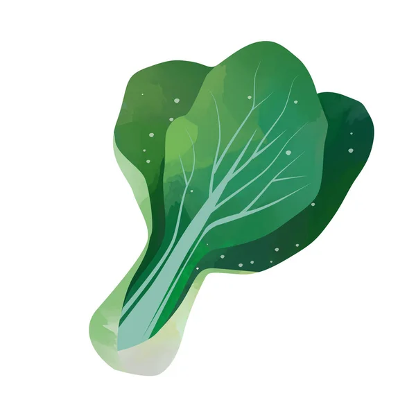 Watercolor Bok Choy Isolated White Background Digital Art Painting — ストック写真