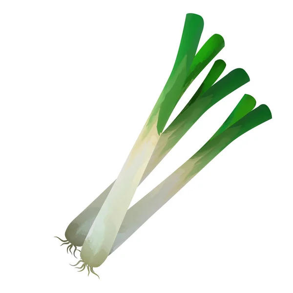 Watercolor Leeks Isolated White Background Digital Art Painting — Photo