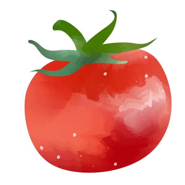 Watercolor Tomato Isolated White Background Digital Art Painting — ストック写真