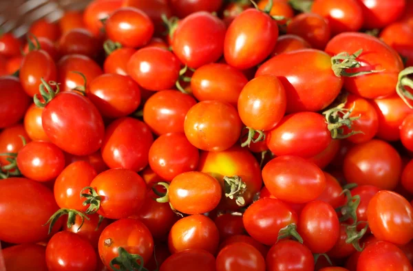 Grupo de tomates frescos em cesto . — Fotografia de Stock