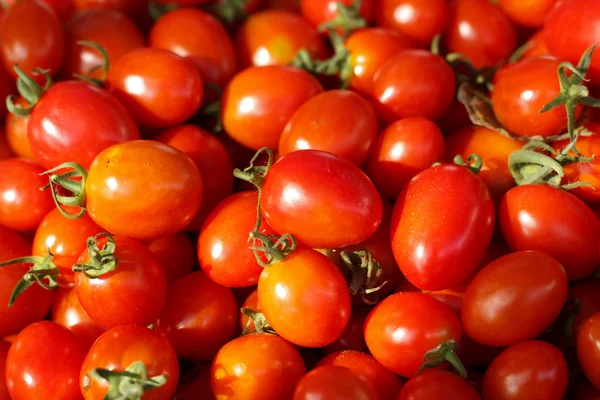 Grupa świeżych pomidorów w koszyku. — Zdjęcie stockowe