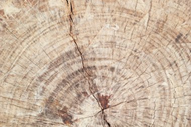 eski ahşap arka plan