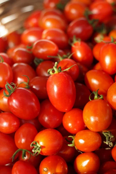 Grupo de tomates frescos en cesta . — Foto de Stock