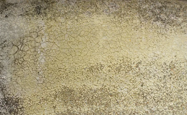 Grunge Concrete Texture Background — Stock Photo, Image