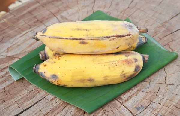 Banán-fa tábla. — Stock Fotó