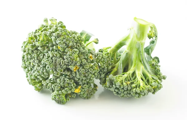 Broccoli op witte achtergrond — Stockfoto