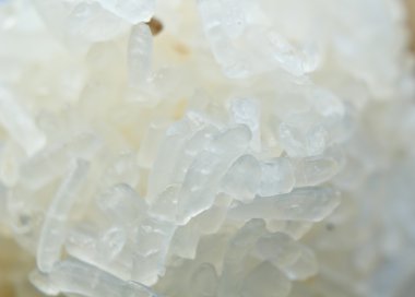 pirinç yakın çekim