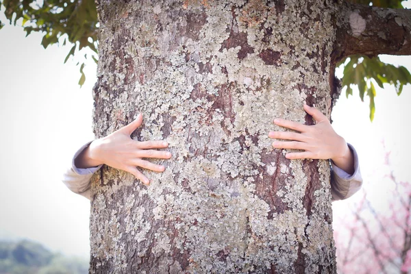 Tree hugging. Close-up of hands hugging tree. Protect - love eco