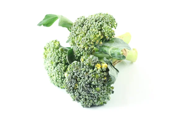 Broccoli op witte achtergrond — Stockfoto