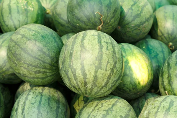 Many big sweet green watermelons — Stock Photo, Image