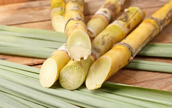 Sugar cane on wood background. — Stock Photo, Image