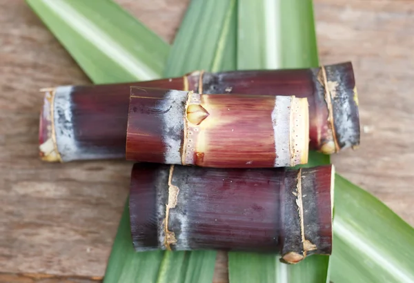 Close-up van suikerriet op hout achtergrond. — Stockfoto