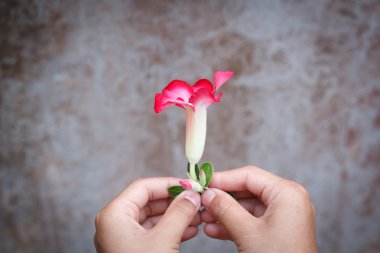 bir çiçek vererek.