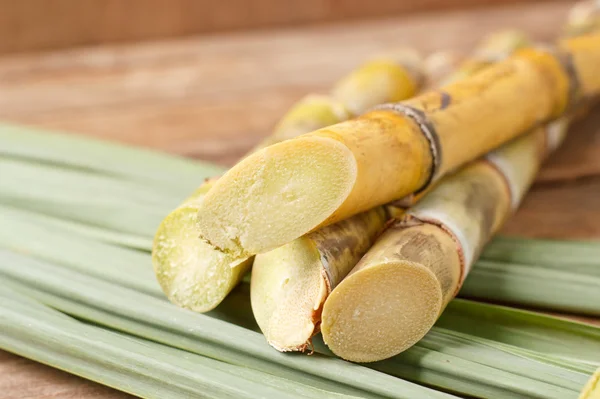 Sugar cane on wood background. — Stock Photo, Image