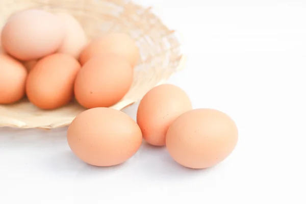 Ovos sobre fundo branco. — Fotografia de Stock