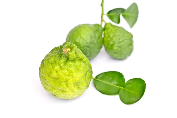 Bergamot на белом фоне. — стоковое фото